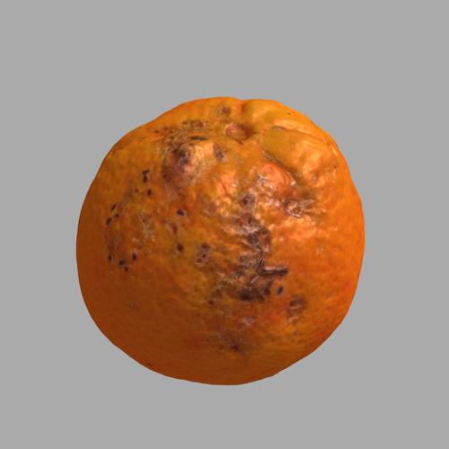 Orange fruit with diseases/pests preview image
